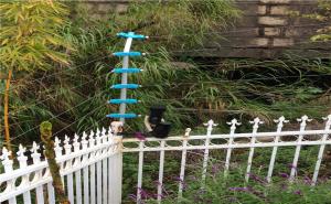 防盜報警系統(tǒng)有哪些種類？